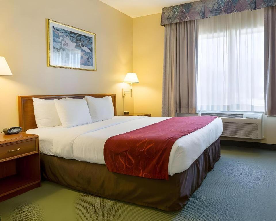 Comfort Suites La Porte Extérieur photo